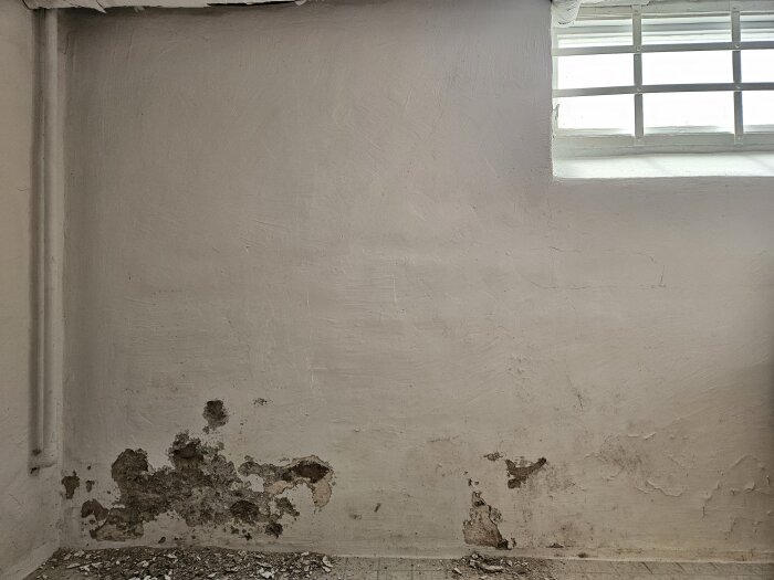 Vägg med fukt- och mögelskador under ett fönster med galler, lossad puts på golvet.