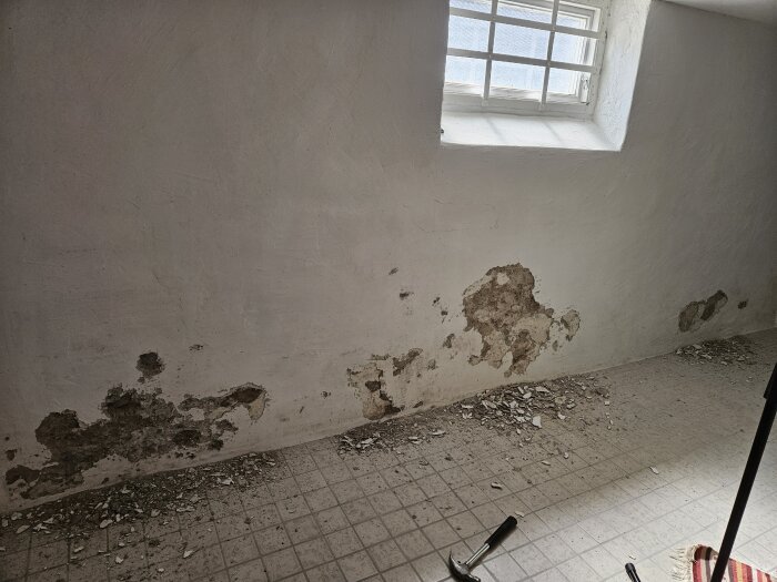 Vägg med fuktskador och flagnad färg i ett rum med kakelgolv och ett gallerförsett källarfönster.