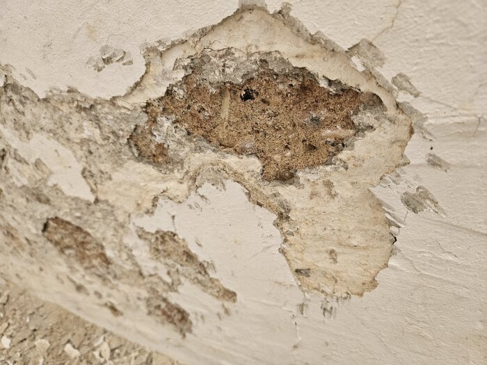 En närbild av en vägg med avflagande puts som exponerar murverket under.
