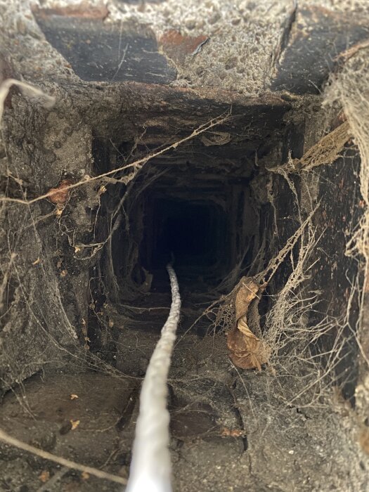 Insidan av en murad skorsten med mögel och smuts; ett snöre hänger ner i mitten.