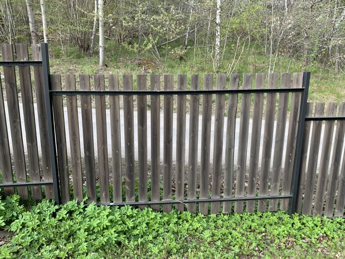 Trästaket med stående plankor och metallram, placerat i en grönskande miljö med träd i bakgrunden.