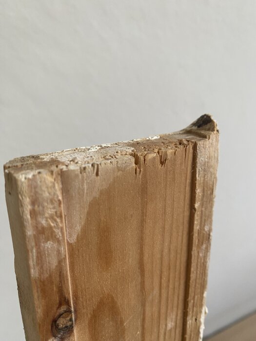 Träbit med ojämnt snidad kant använd för sammanfogning, med slitage synligt.