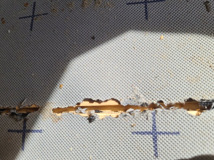 Skadad underlagsduk på tak med revor och hål vid brädor, eventuellt orsakade av insekter.
