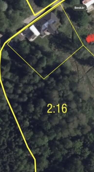 Satellitbild över en skogig tomt med gul linje och märkning 2:16, visar fastighetsgränser och byggnad nära grusväg.
