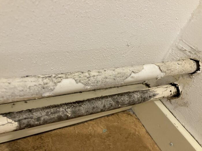 Rör med vit och svart beläggning, eventuellt mögel, som söker identifiering och råd.