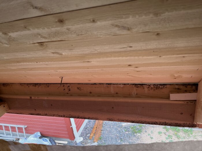 Öppen takkonstruktion av ett garage med träpanel, synliga takkroppade naglar och tecken på mögel längs takfoten.