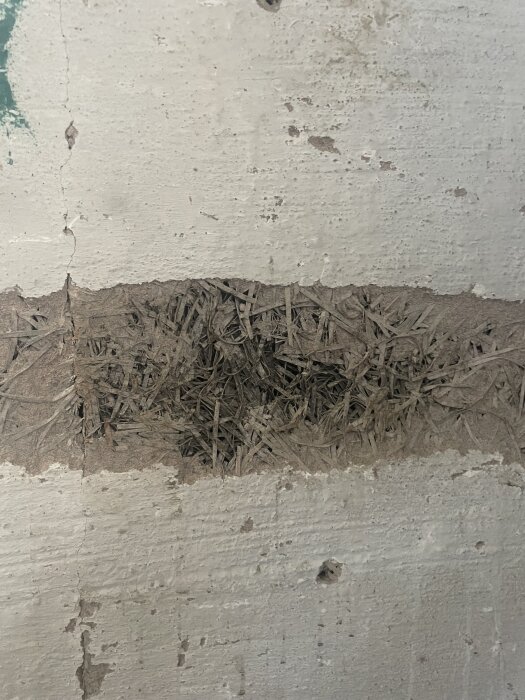 Vägg med spricka som exponerar hårt material med träfiberspån inuti, osäker funktion, möjligt fuktproblem i 50-tals källare.