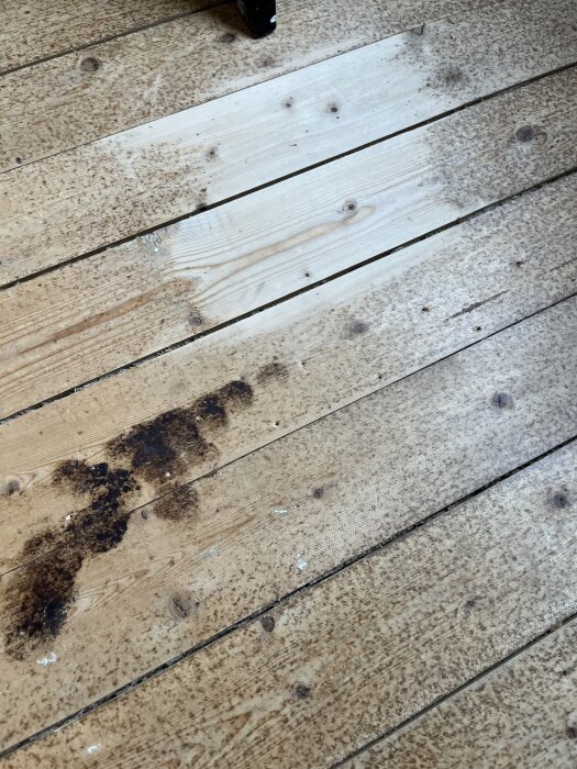 Trägolv av råspont med missfärgningar, eventuellt tecken på vattenskada eller röta. Tjocka plankor, förslag på slipning och behandling diskuteras.
