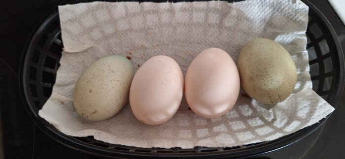 Fyra ägg ligger på hushållspapper i en korg, två av dem bruna och två vitaktiga.