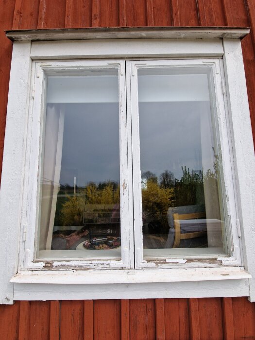 Slitet gammalt träfönster med vit färg och röd träpanel, reflekterar träd och utemöbler.