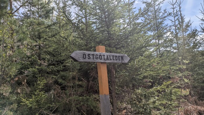Skylt med texten "Östgötaleden" i en skogsmiljö med granar i bakgrunden.