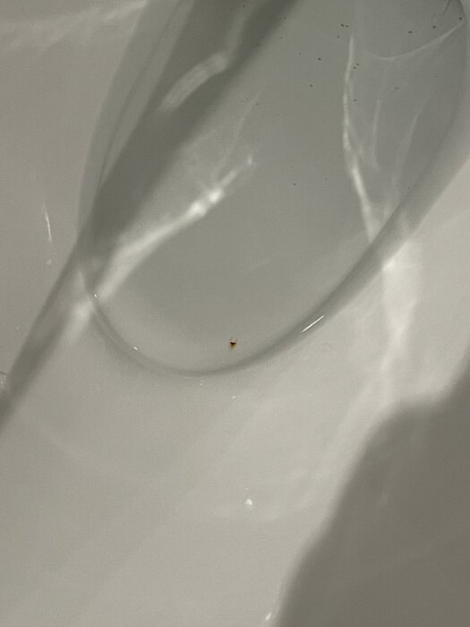 Rostfläck i en vit toalettstol med synliga skrapmärken på emaljen.