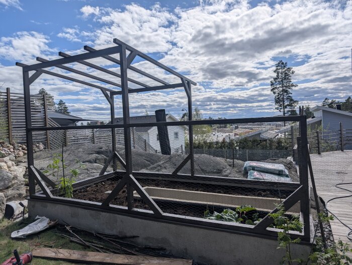 Växthus av trä, nyligen avslutat, med tomatplantor och utsikt över ett villaområde.