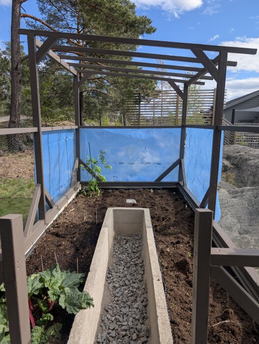 Växthus med tomatplantor och grusgång i träkonstruktion, färdigt byggprojekt i trädgård under blå himmel.