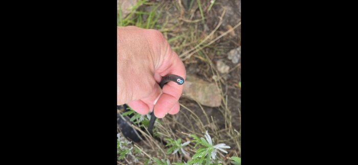 Trasig lågspänningskabel med blå ledare synlig, hålls i en hand utomhus.