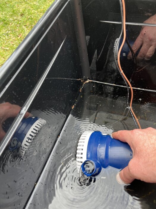 En hand håller en blå och vit vattenpump i vattnet i en svart behållare, med sladdar synliga ovanför.