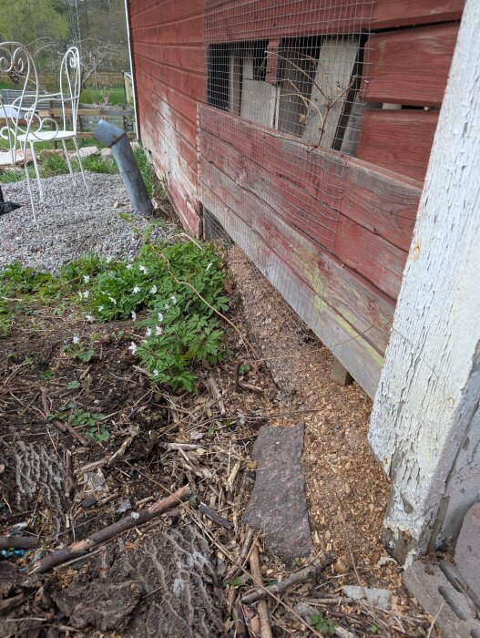 Gammal vedbod med sliten fasad, jord och växtlighet intill grunden, metalltråd på väggen, stol och grus synliga i bakgrunden.