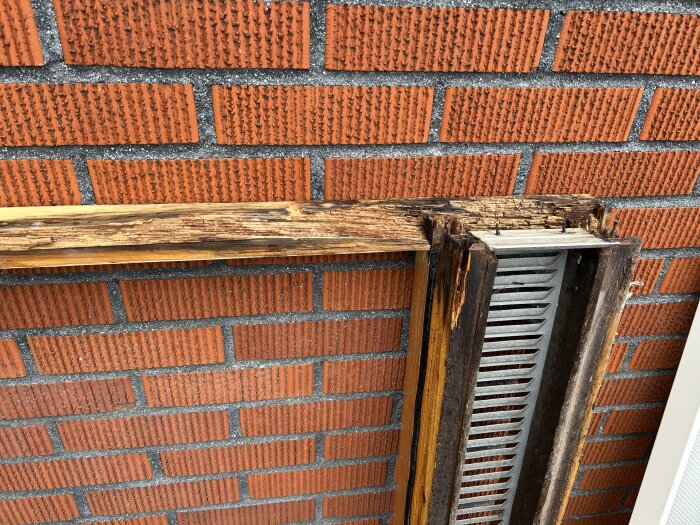 Gammalt träfönster med synlig röta lutad mot en röd tegelvägg.