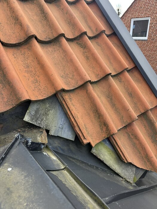 Skadat tak med nedfallna takpannor och synliga underliggande lager på ett äldre hus, potentialt budobjekt.