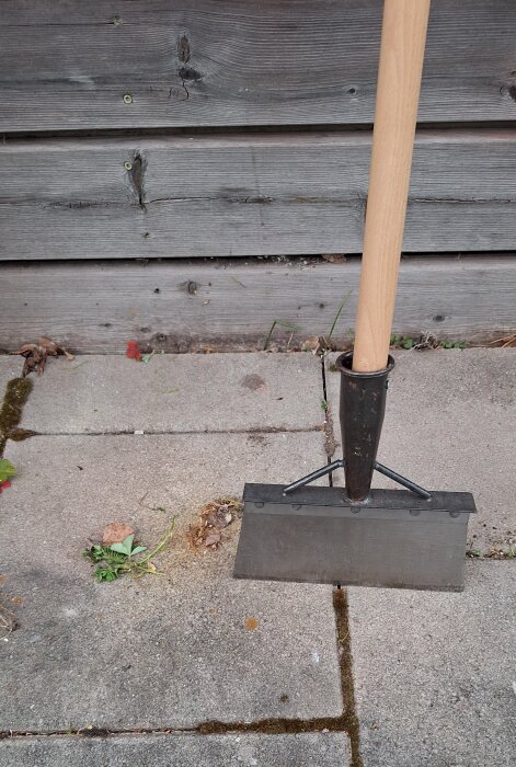 En hacka som har använts för att avlägsna ogräs mellan betongplattor vid en trävägg.