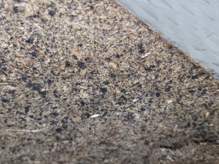 Fläckig filtliknande dämpare med svarta prickar, möjligen mögel, mellan diskbänk och skåp i hyresrätt från 1959.