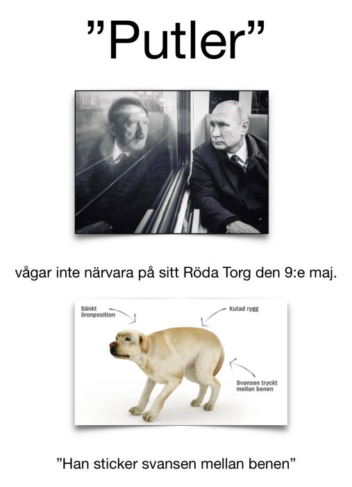 En man sitter i ett tåg och ser sin spegelbild i fönstret. Under är en hund med kutad rygg och svansen mellan benen.