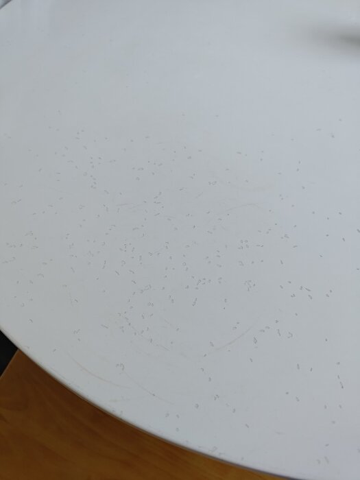 Runt matbord med vit yta och små hack eller repor synliga.