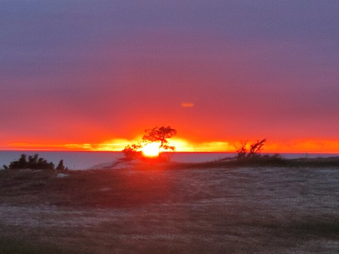 Solnedgång vid Högklint Visby med färgglad himmel och sol som går ner bakom horisonten, träd i silhuett i förgrunden.