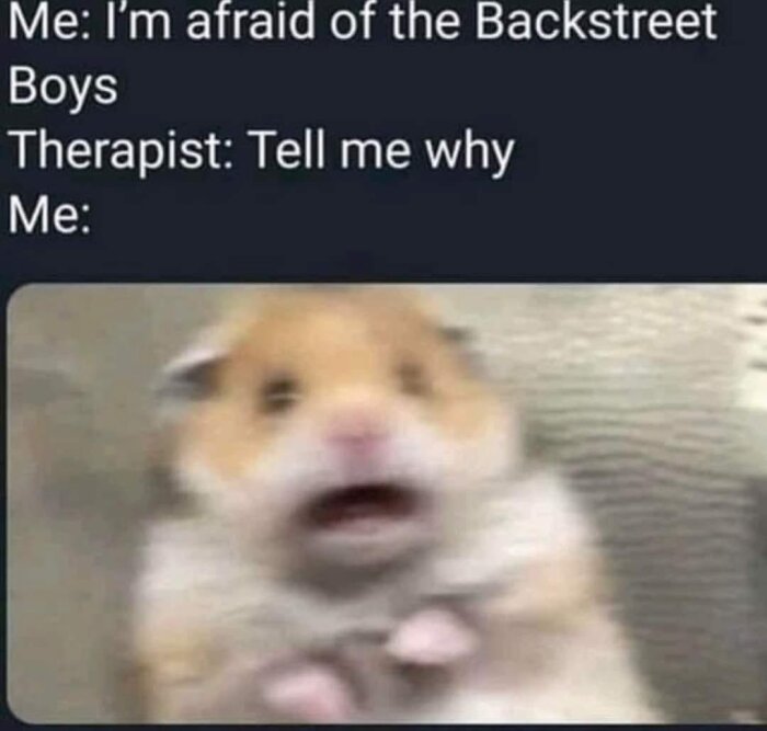 Oskarp bild av en hamster med vidöppna ögon och mun under en textdialog om rädsla för Backstreet Boys.