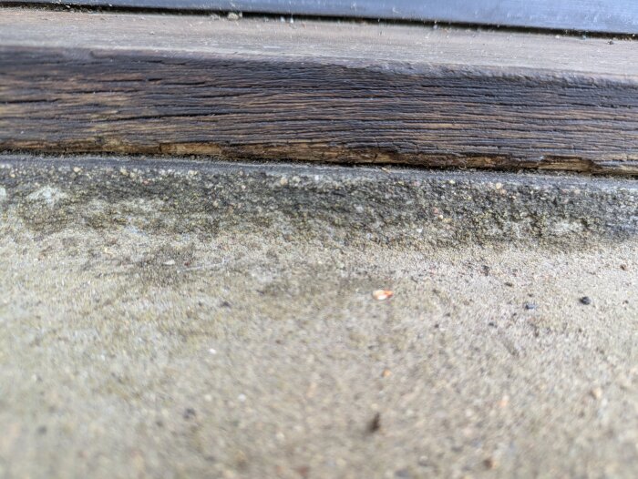 Närbild på en sliten tröskel i trä där kanten mot betongen visar tecken på rötangrepp och slitage.