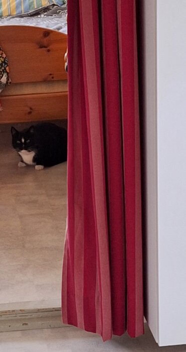 En katt ligger under en säng, halvt gömd bakom ett rött draperi, med en träbäddsram och färgglada kuddar ovanför.