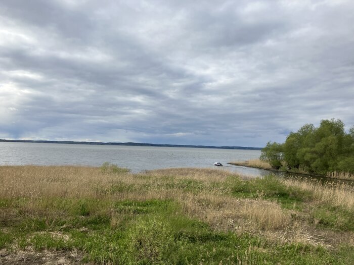 Sjön med en båt i vassen, omgiven av grönt gräs och en trädklädd udde under en molnig himmel.