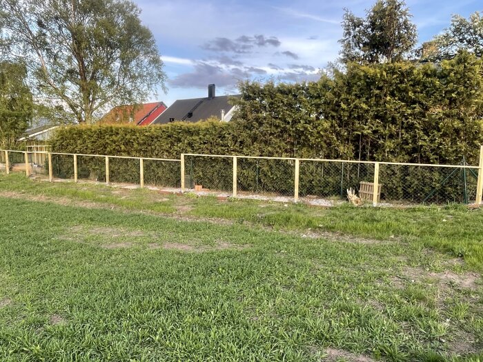 Staket i en trädgård med gräs framför. Bakom staketet syns en hög häck och delar av bostadshus.