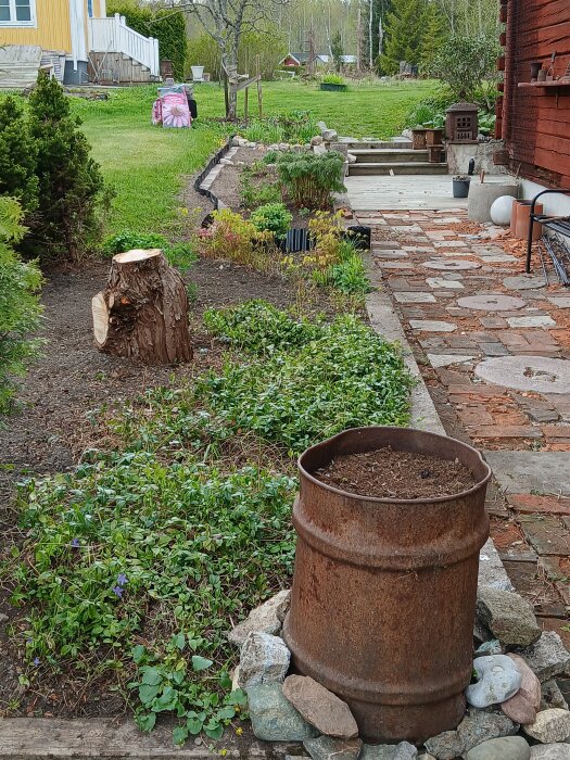 20250507_115113.jpg