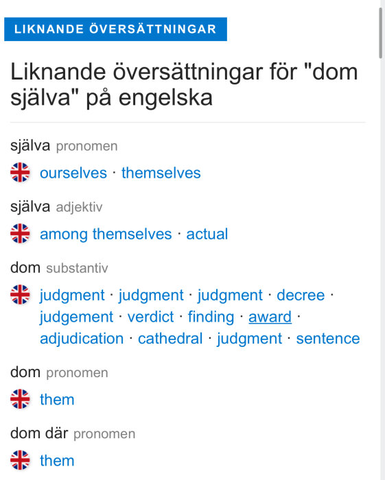 Skärmdump av översättningstjänst som visar engelska översättningar för svenska ord och fraser som 'själva' och 'dom'.