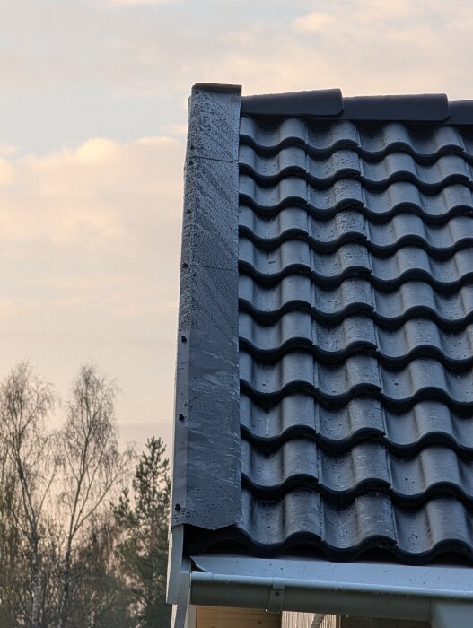 Svart tak med vågformade tegelpannor och vindskiva. Entretakets avslutning vid övergången mellan tegel och plåt syns.