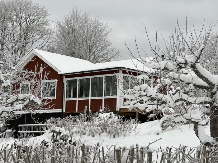 En röd villa med vita knutar i vinterlandskap, omgiven av snötäckta träd och buskar.