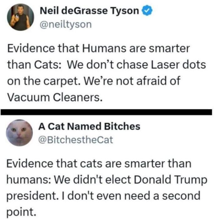 Två humoristiska inlägg jämför intelligensen hos människor och katter, med argument från båda perspektiv.