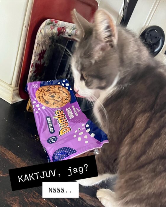 En katt nosar på en oöppnad påse med Dumle-kakor på ett bord. Texten "KAKTJUV, jag? Näää.." finns över bilden.