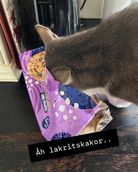 Katt med huvudet i kakpåse, undersöker lakritskakor på köksbänken.