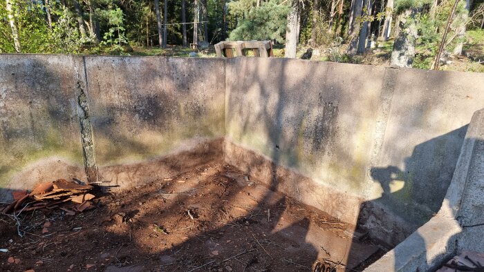 Betongväggar i ett gammalt svinhus med solsken och skuggor, omgivna av träd, mark täckt av jord och tegelskärvor.