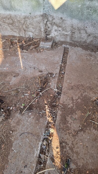 Betongplatta med sprickor och smuts, tidigare del av svinhus. Planeras att förstärkas och förbättras med armering och ytterligare betong.