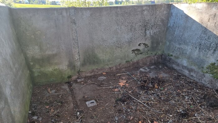 Inre del av ett gammalt svinhus med betongväggar, delvis bevuxet med mossa, och en jordig golvyta med löv och kvistar.