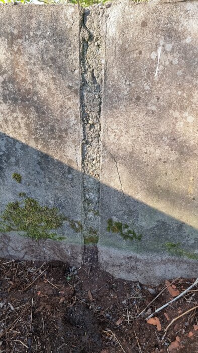 Betongvägg med sprickor och mossa, fotad nära marken. Väggens struktur är sliten, med synligt nedfallna trädelar på marken.