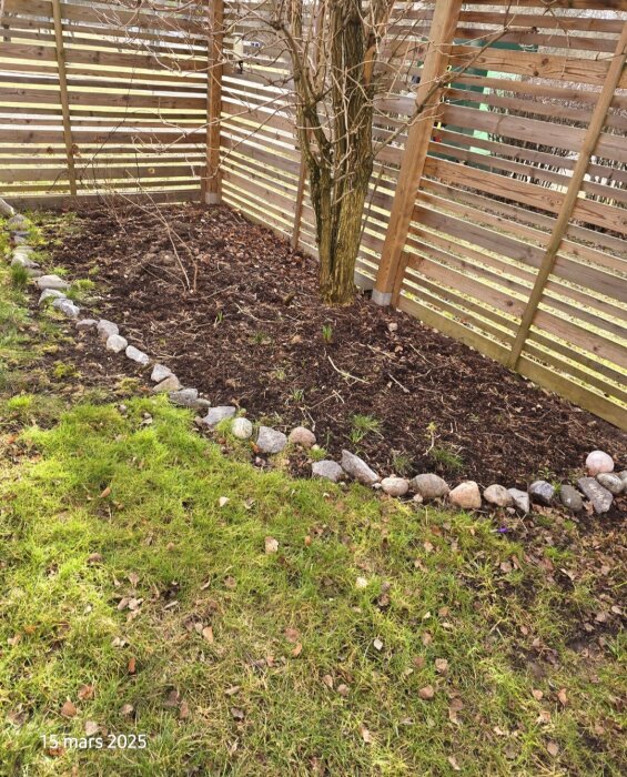 En uteplats med ett träd, omgärdad av ett trästaket och omgiven av en kant av stenar, med gräsmatta och bar jord i förgrunden.