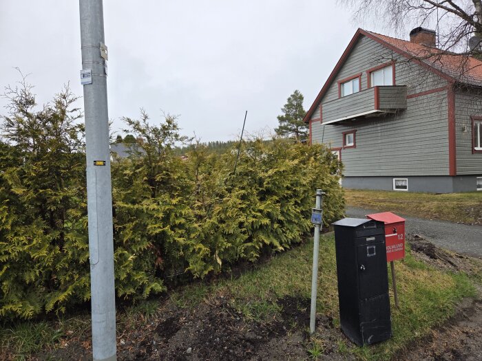 Hästhage med grön häck, grått hus och en lyktstolpe i förgrunden, diskussion om gödsling för växtförbättring.