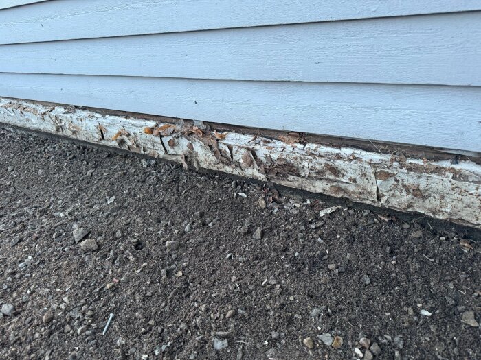 Genomrutten nedersta panelbräda under fjällpanel på husvägg, bredvid en betongplatta, behöver bytas på grund av skador.