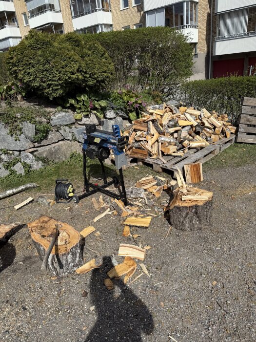 Björkstammar och ved ligger vid en sågbock i en trädgård, omgivna av buskar och en byggnad i bakgrunden.
