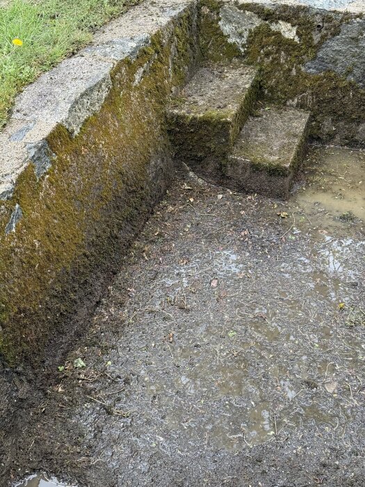 Gammal pool med mossa och smuts på botten, delvis rengjord. Stensteg leder ner i poolen. Gräs och betongkanter syns i bakgrunden.