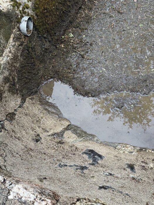 Gamla poolens botten med kvarvarande vattenpöl och rör. Rester av mossa syns längs kanterna. Förberedelse för sista rengöring.